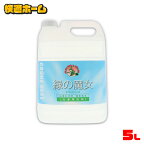 ◆目玉価格2,780円◆ 緑の魔女 ランドリー 5l 緑の魔女 洗剤 洗濯洗剤 ランドリー 業務用 5L 5kg 送料無料 洗濯 洗剤 液体洗剤 パイプクリーナー 排水管掃除 バイオ・ハイテク洗剤 液体洗剤 業務用洗剤 洗剤液体洗剤 ミマスクリーンケア 【D】