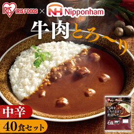 【最大400円クーポン】 【40食セット】レトルトカレー 中辛 170g×40食パック レトルト カレー インスタント カレーライス 牛肉をとろけるまで煮込んだレストラン仕様カレー カリー 食品 保存食 ビーフ 牛肉 レストラン仕様 アイリスフーズ