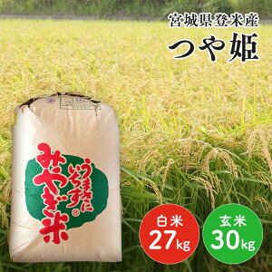 yߘa7Nz  27kg  30kg āEđIׂIāE 30kg {錧YP  P  Ђ 30kg 30L  R { {錧yTDzyTRSzy[J[iz