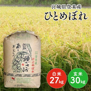   27kg  30kg  ߘa5NY 30kg 27kg {錧YЂƂ߂ڂ āEđIׂIāE ЂƂ߂ڂ {錧Y ܂Ƃߔ 30L 27L  R { {錧yTDzyT