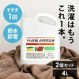 【2個】善玉バイオ プロ仕様衣料用洗剤 超濃縮タイプ4L 送料無料 善玉バイオ プロ仕様洗剤 再汚染から守る 柔軟剤配合 抗菌消臭効果 柄物洗濯OK 業務用洗剤 超濃縮 時短モード
