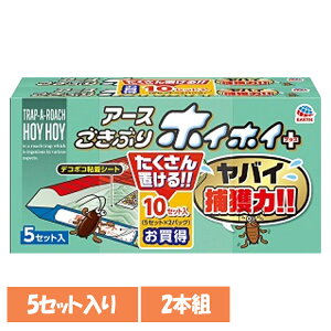 A[X ߊl [ ԂzCzC+ 5Zbg×2{g SLu E A[X S SV[g u ͗U EARTH