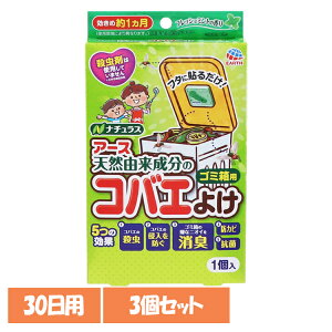 y3zPApi 悯 oG RoGȂA[X S~ptbV~g 30p A[X [ 쏜 h S~ Lb` 䏊 L A[X