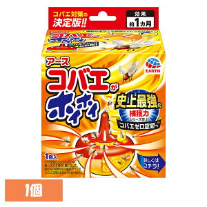 PApi ΂ ߊl A[X RoGzCzC oG [ 쏜 Lb` 䏊 [[ A[X