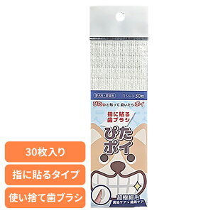 f^PA oPA p  IN`uV ҂|C f^PA oPA L C Lp  ĝ uV v[N |Pbg P[s[GX