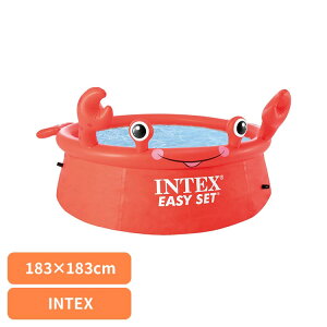 rj[v[ ^ ƒp nbs[NuC[W[Zbgv[ 26100rj[v[ ^ ƒp v[  AGP ^b` gݗĕsv V INTEX