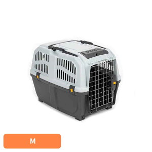 ybgEP[W/SKUDOCA^/TCY4iMj PTMP00204 n[hL[P[X  L P[W ybgP[W y n[h L[ ړ o s n[hL[ qݕ n[hP[X s@ 