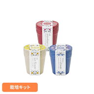 グレイス ガーデン GD-103101 GD-103102 GD-103103栽培キット 栽培セット ワイルドストロベリー ミニヒマ…