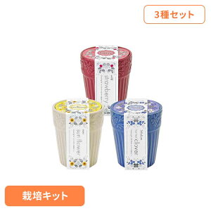 y3ZbgzOCX K[fiChXgx[E~jq}Elt̃N[o[j ͔|Lbg ͔|Zbg ChXgx[ ~jq} lt̃N[o[ V| G