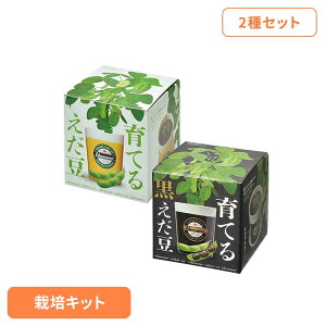 y2ZbgzĂ邦͔|ZbgiEj ͔|Lbg ͔|Zbg ܂  V| SEISHIN Mtg[2512SI]