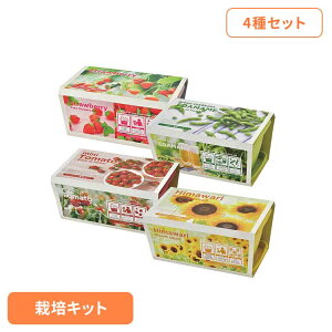 y4ZbgzGWCv^[iC`SE܂߁E~jg}gE~jq}j ͔|Lbg ͔|Zbg C`S ܂ ~jg}g ~jq} V| SEISHIN Mtg