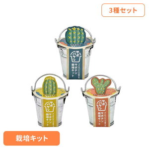 y3ZbgzT{oPc͔|LbgiۃT{eET{eEE`T{ej ͔|Lbg ͔|Zbg T{e V| SEISHIN uLoPc 킩Ă Mtg[2512SI]