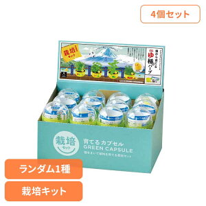 y4ZbgzĂJvZ 䉱Ńn[u͔| ͔|Lbg ͔|Zbg n[u V| SEISHIN ~j Ђ邿  _