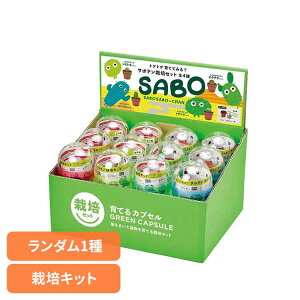 ĂJvZ T{e GD-921͔|Lbg ͔|Zbg T{e V| SEISHIN K` ڂĂ Mtg gQgQ