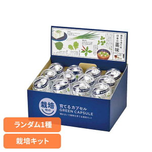 ĂJvZ  GD-926͔|Lbg ͔|Zbg  V| SEISHIN ₭  Ot ˂ 킳э ̒ _