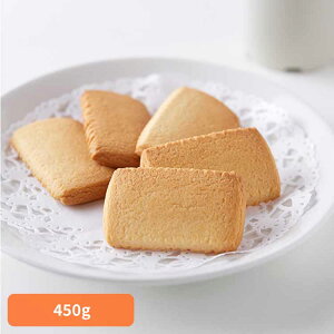 i󂠂jkCo^[NbL[ 450g SM00011370NbL[ o^[NbL[ Ăَq TNTN rXPbg  킯 َq  e