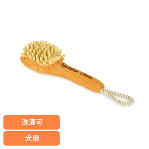 XvbVXvbV {fBuV p ybgp pʂ V vȂ  Ɋ΂ v[g i fUC [N