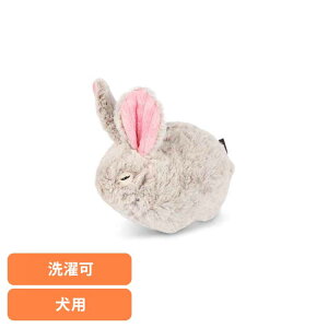 tHXgtY oj[ p ybgp pʂ V vȂ  Ɋ΂ v[g i fUC [N