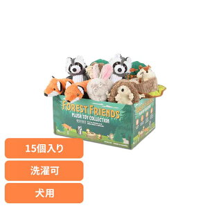 tHXgtY BOXZbgi15j p ybgp pʂ V vȂ  Ɋ΂ v[g i fUC [