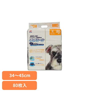 lIV[cZu M[80 3630446ybgpi ybgV[c ^ L z  Ck  gC ЃR[`[