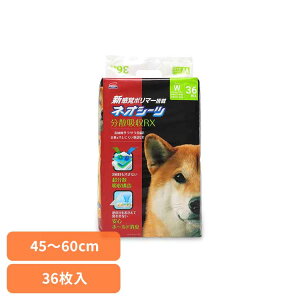 lIV[c RX Ch36 3630473ybgpi ybgV[c ^ L z  Ck  gC ЃR[`[