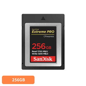 SanDisk GNg[ v CFexpress Type B J[h 256GB SDCFE-256G-JN4NNSDJ[h 256GB sandisk TfBXN RpNg e f[^ۑ ϋv 掿 TfBXN