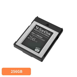 SanDisk Professional PRO-CINEMA CFexpress VPG400 Type-BJ[h 256GB SDPCVN4-256G-JNANNType BJ[h 256GB sandisk TfBXN RpNg e f[^ۑ ϋv 掿 TfBXN