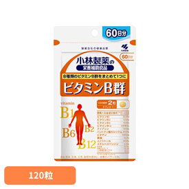 ビタミンB群 120粒 ビタミン 美容 健康食品