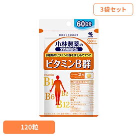 【3袋】ビタミンB群 120粒 ビタミン 美容 健康食品