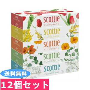 5箱 Boxティッシュの通販 価格比較 価格 Com