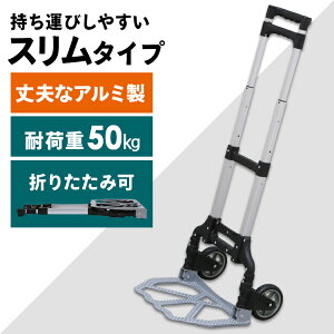 L[J[g L[ ω׏d 50kg ܂肽 OAC-H001BK  S ԃS  S S  S ubN