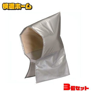 y3Zbgz hГ hЂ Zbg ЊQ nk nk΍ qǂ hГ BZN-300 