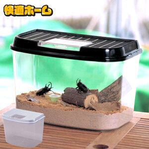  U  P[X   烉h TCY p[u[ ubN ̏W W  Ƃ  ċx R {bNX JS ACXI[} ACX CY-M