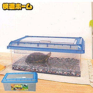 T   P[X ACX   36.5×s21.5×15cm NAr[^ CC-360L NAu[   U  ̏W W  Ƃ  ċx R 