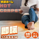 ＼ 5％OFFクーポン有！／ホットカーペット 1畳 1.5畳 2畳 3畳 4畳 本体 長方形 正方形 電気カーペット ホットマット …