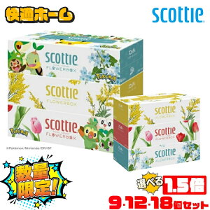 y27E36E54Zbgz eBbV XRbeB t[{bNX 250gi500j 3pbN 41330 eBbVy[p[ eBbV t[ {bNX e  RpNg 250g SCOTTIE |P