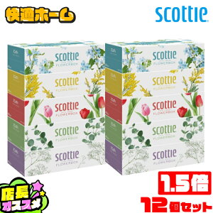 y12ZbgzXRbeB eBbV t[{bNX 250gi500j 5pbN 41331 eBbVy[p[ eBbV eBV[ t[ {bNX e  RpNg 250g 5pb