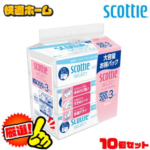 y10ZbgzXRbeB nh^I \tg XRbeB ZNg nh^I 200g(400)×3RpbN 37754 XRbeB nh^I y[p[^I 400 200g ZNg \tg^Cv 