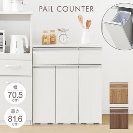 【お部屋に馴染んでごみ箱なんて思わせない！】 ゴミ箱 ふたつき 分別 おしゃれ ゴミ箱 キッチン カウンター ペールカウンター PKT-8670 オフホワイト ナチュラル ウォールナット 送料無料 食器棚 キャビネット ロータイプ コンパクト 一人暮らし アイリスオーヤマ