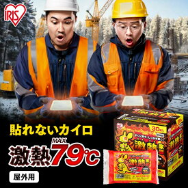 【選べる枚数！】カイロ 貼らない 屋外専用 貼らないカイロ レギュラー 30枚 60枚 120枚 240枚 まとめ買い 貼れない 使い捨てカイロ あったかグッズ 防寒 寒さ対策 冷え対策 屋外作業 アウトドア 防災 備蓄 激熱家族 アイリスオーヤマ *