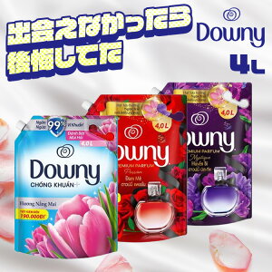 �_�E�j�[ �_��� �T�����C�Y�t���b�V�� �l�ߑւ��p4L �A�W�A���_�E�j�[ ����p��� Downy �߂����p �t�̐�� ��e�� �Z�k �_�E�j�[ �l�� �t�̏_��� ���� �T�����C�Y�t���b�V�� P&G P&G khg