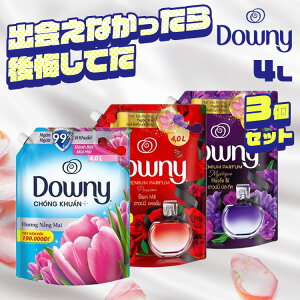 ��|�C���g3�{��26��10���܂Ł�_��� ����p��� �y3�Z�b�g�z�A�W�A���_�E�j�[ 4L Downy �߂����p �t�̐�� ��e�� �Z�k �_�E�j�[ �l�� �t�̏_��� D khg