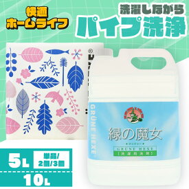 ＼最安値挑戦中！／ 緑の魔女 ランドリー 5l 10l 緑の魔女 洗剤 洗濯洗剤 ランドリー 業務用 5L 10L 5kg 10kg 送料無料 洗濯 洗剤 液体洗剤 パイプクリーナー 排水管掃除 バイオ・ハイテク洗剤 液体洗剤 業務用洗剤 ミマスクリーンケア