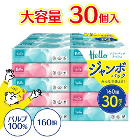 ハロー ソフトパックティッシュ 160組 30個 5221ティッシュ ティッシュペーパー 箱なし ソフトパックティッシュ ハローティッシュ ソフトパック ティッシュ大容量 ソフトティッシュ まとめ買い ユニバーサル・ペーパー