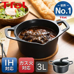 LXgC A} v V`[|bg  20cm KXWt E25144  y g₷ ~M A~ T-fal eBt@[