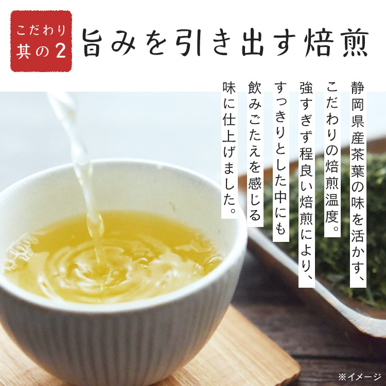  お茶 緑茶 ペットボトル 500ml 24本 ミツウロコ 送料無料 （24本 1箱） 静岡 茶葉 日本茶 国産