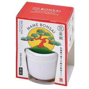 HACO MAME ~͍͔|Zbg GD-96501 GD-96502 GD-96504͔|Lbg ͔|Zbg BONSAI V| ~ SEISHIN  蕨 킩Ă  ԏ ܐFƂ炵