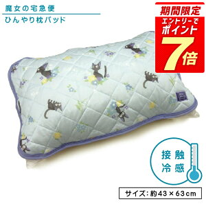 yGg[ōőP8{ 9111:59zX^WIWu ̑} Ђ薍pbh 43×63cm lp܂TCY ڐG⊴ ėp ACXu[WW LN^[ ܂Jo[ ȒP N