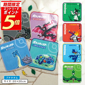 yGg[ōőP6{ 111:59z|PbgX^[ |P ~j^I 20×20cm 100% ` LN^[ bNEU epSX Kt@C[ vX v`^I ۈ牀 ct 