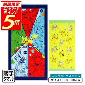 yGg[ōőP6{ 1091:59z|PbgX^[ |P RpNgoX^I 50×100cm 100% LN^[ sJ`E NbX zQ[^ jIn p` ۈ牀 ct w